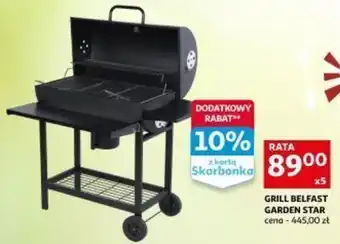 GRILL BELFAST GARDEN STAR