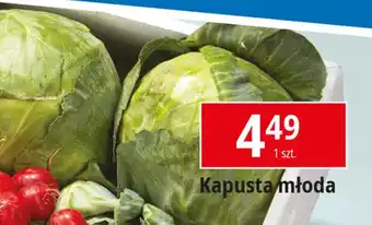 E.Leclerc Kapusta młoda oferta