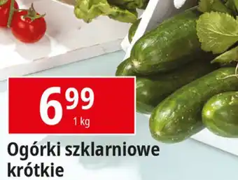 E.Leclerc Ogórki szklarniowe krótkie 1 kg oferta