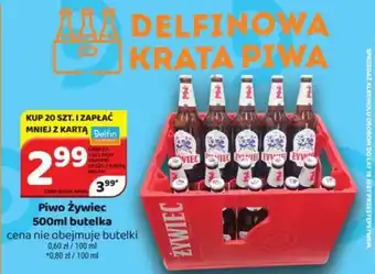 Delfin Piwo Żywiec 500ml butelka oferta