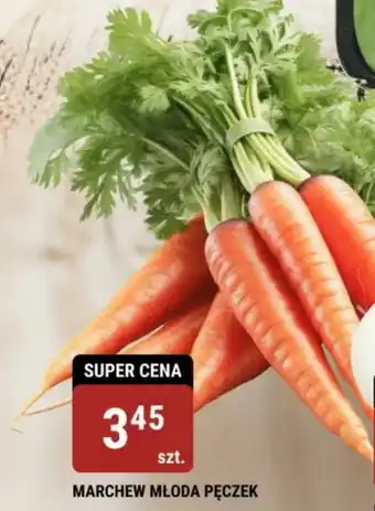 bi1 MARCHEW MŁODA PĘCZEK oferta