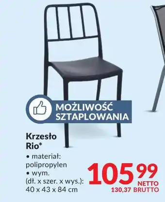 Makro Krzesło Netto oferta