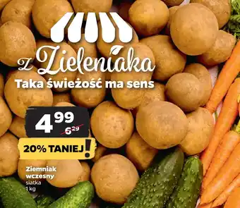 Netto Ziemniak wczesny oferta
