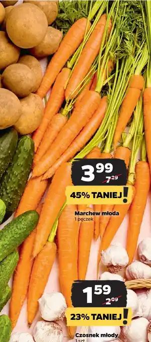 Netto Marchew młoda oferta