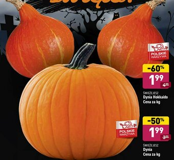 ALDI Dynia 1 KG oferta