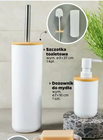 Netto Szczotka toaletowa oferta