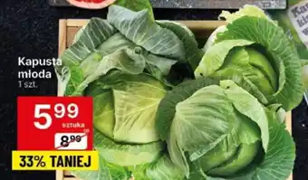 Delikatesy Centrum Kapusta młoda 1 szt. oferta
