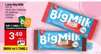 Delikatesy Centrum Lody Big Milk 100 ml oferta