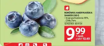 Selgros BORÓWKA AMERYKAŃSKA SHAKER 250 G oferta
