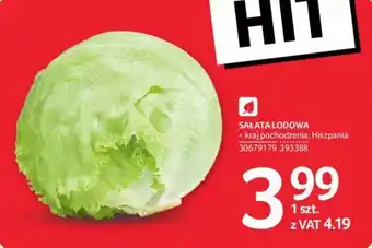 Selgros SAŁATA LODOWA oferta