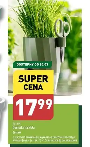 ALDI Doniczka Belavi oferta