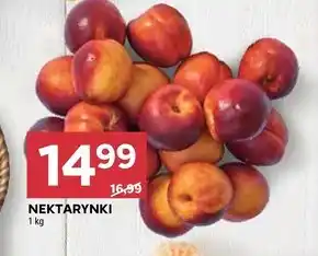 Stokrotka Nektarynki oferta