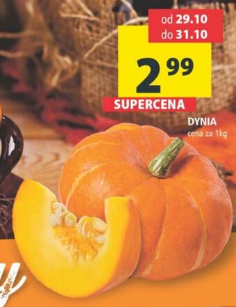 Arhelan Dynia 1kg oferta