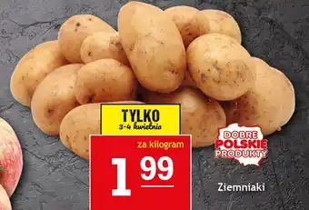 Gram Market Ziemniaki oferta