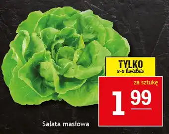 Gram Market Sałata masłowa oferta