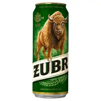 Netto Żubr Piwo jasne 500 ml oferta