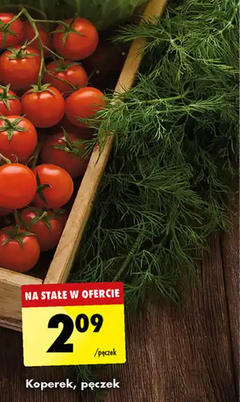 Biedronka Koperek, pęczek oferta