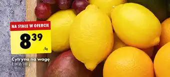 Biedronka Cytryna na wagę 1 kg oferta