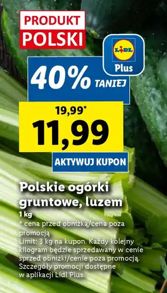 Lidl Polskie ogórki gruntowe, luzem 1 kg oferta