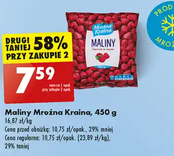 Biedronka Maliny Mroźna Kraina, 450 g oferta