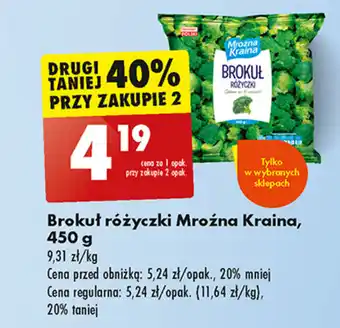 Biedronka Brokuł różyczki Mroźna Kraina, 450 g oferta