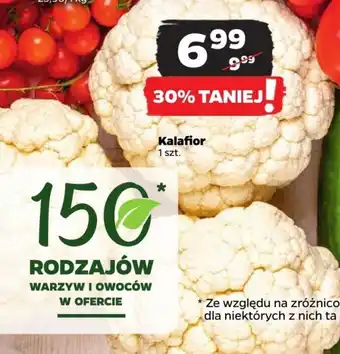 Netto Kalafior 1 szt. oferta