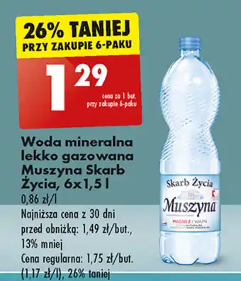 Biedronka Woda mineralna lekko gazowana Muszyna Skarb Życia, 6 x 1,5 l oferta