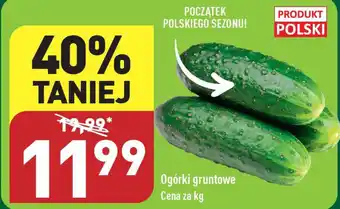 Ogórki gruntowe 1 kg