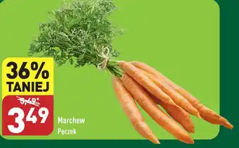 ALDI Marchew Pęczek oferta