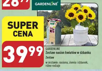 ALDI GARDENLINE Zestaw nasion kwiatów w dzbanku oferta