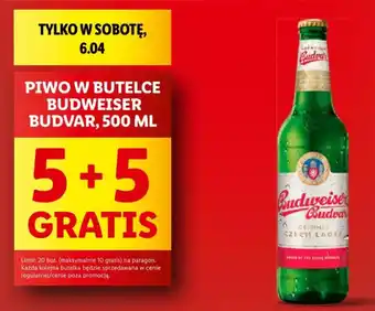 PIWO W BUTELCE BUDWEISER BUDVAR, 500 ML
