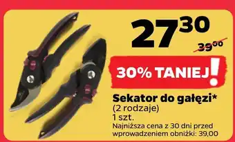 Netto Sekator oferta