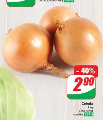 Dino Cebula 1 kg oferta