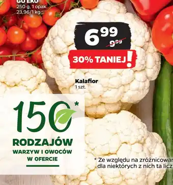Netto Kalafior oferta