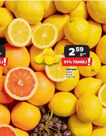Netto Cytryna oferta