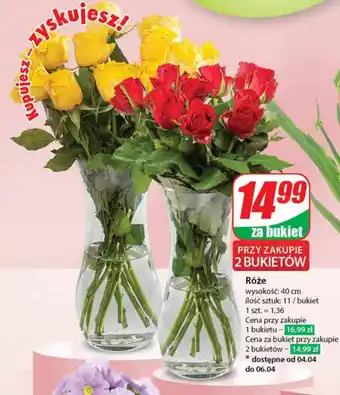Dino Róże wys. 40 cm, 11 szt. oferta