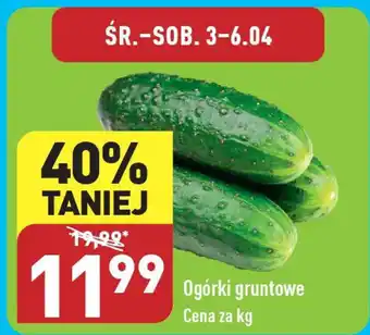 ALDI Ogórki gruntowe 1kg oferta