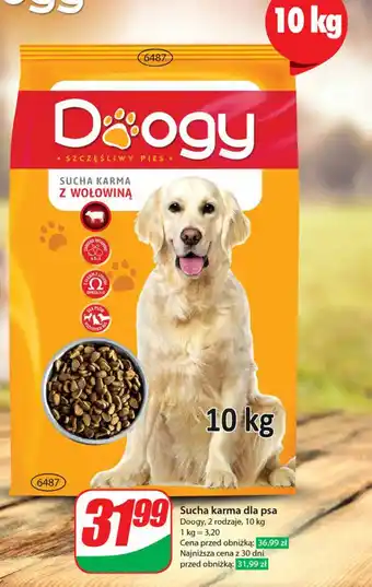 Dino Sucha karma dla psa Doogy, 10 kg oferta
