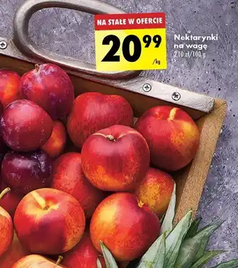 Biedronka Nektarynki na wagę 1 kg oferta