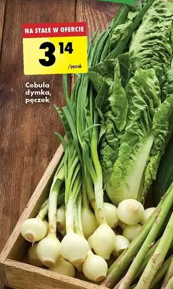Biedronka Cebula dymka, pęczek oferta