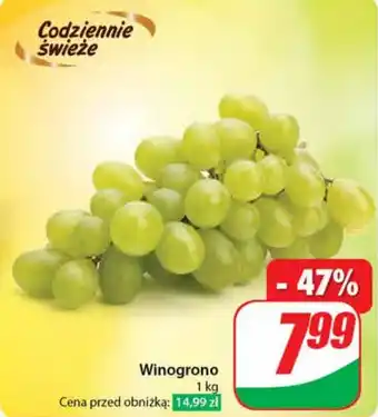 Dino Winogrono 1 kg oferta