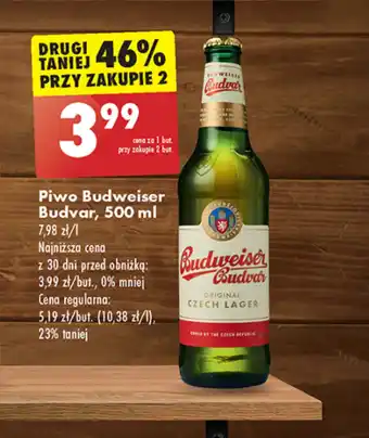 Biedronka Piwo oferta
