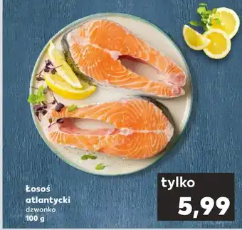 Kaufland Łosoś oferta