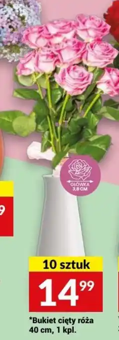 Twój Market *Bukiet cięty róża 40 cm, 1 kpl. oferta