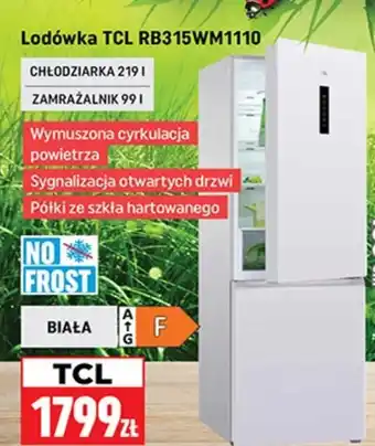 Neopunkt Lodówka TCL oferta