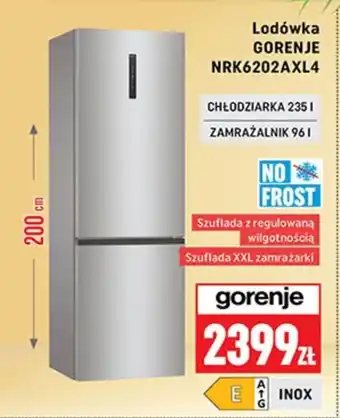 Neopunkt Lodówka Gorenje oferta