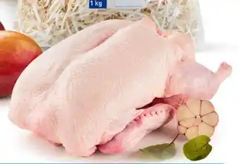 Makro Kaczka Pekin schłodzona - tacka 1 kg oferta