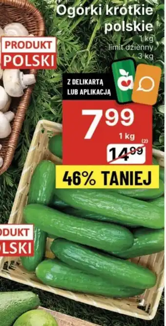 Delikatesy Centrum Ogórki krótkie polskie 1 kg oferta