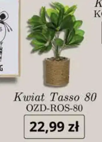 Kwiat