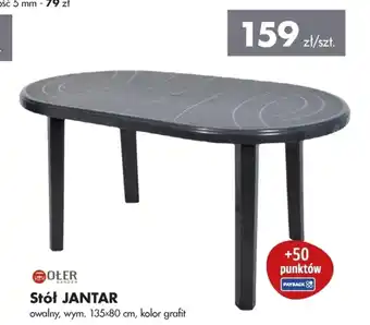 Mrówka Stół Ołer oferta